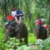 Катание на слонах phuket-gid.ru