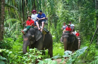 Катание на слонах phuket-gid.ru