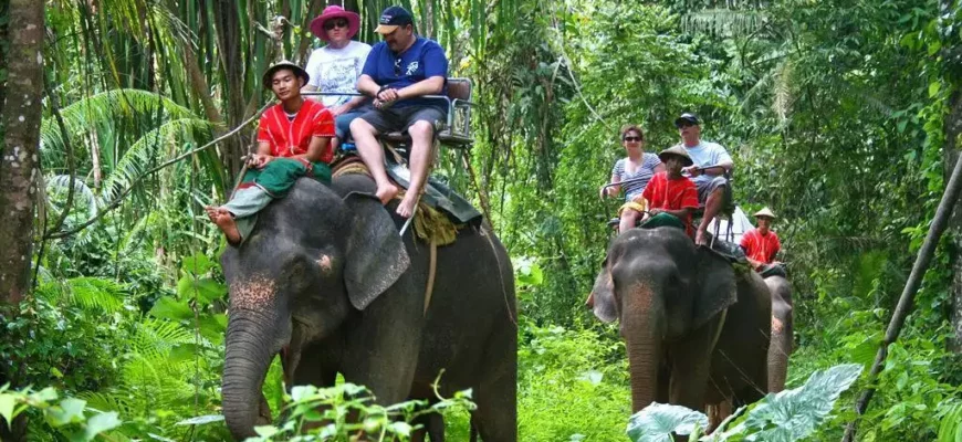 Катание на слонах phuket-gid.ru