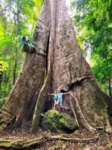 ПхангНга и Краби но Phuket-gid.ru