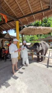 Экскурсия по Пхукету Phuket-gid.ru