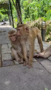 Экскурсия по Пхукету Phuket-gid.ru